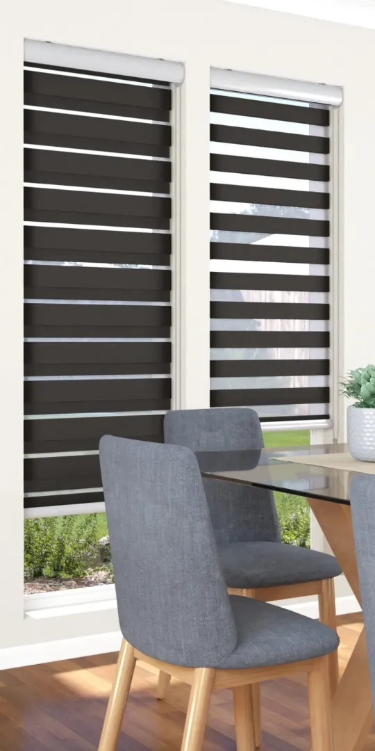 Zebra Blinds