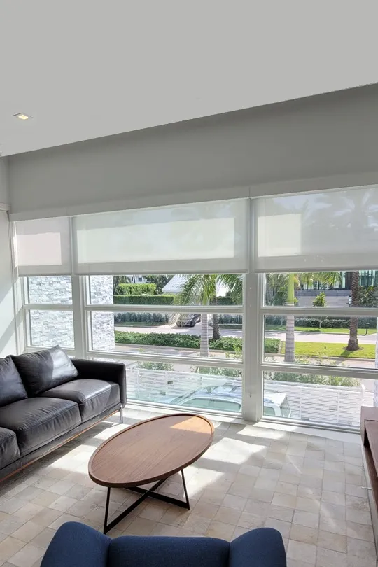 Screen Blinds